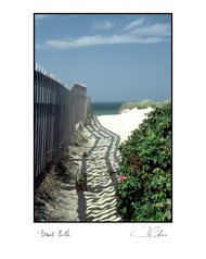 Beach Path