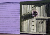 Green Barn Doors