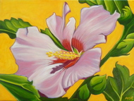 Rose of Sharon