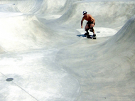 Skateboarder, Venice Beach