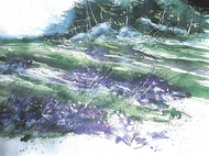 Soft Rocks